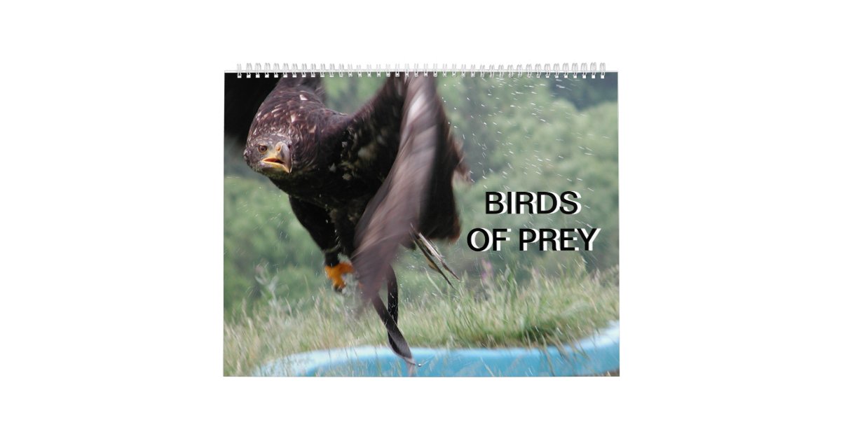 Birds Of Prey 2023 Calendar Zazzle