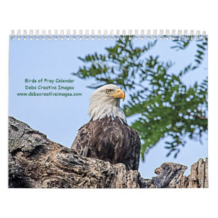 Birds of Prey 2024 Calendar