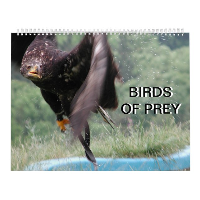 Birds Of Prey 2024 Calendar (Cover)