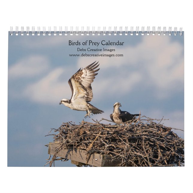 Birds of Prey 2026 Calendar – Majestic Raptors (Cover)