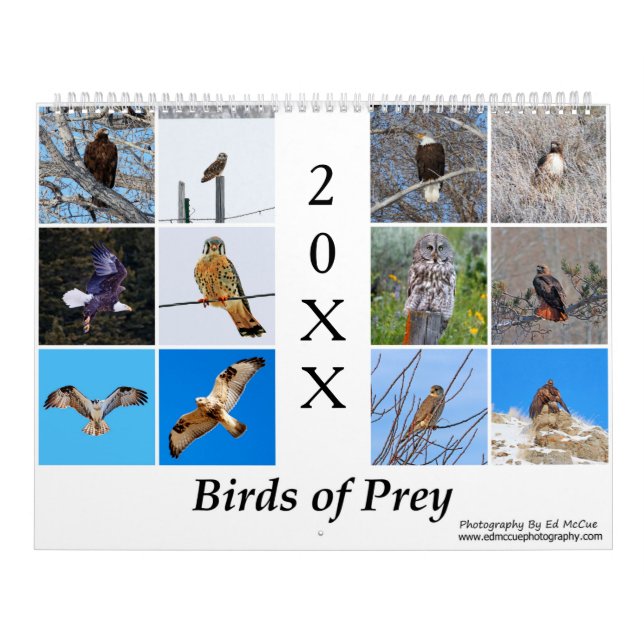 Birds Of Prey Calendar (Cover)