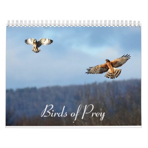 Birds of Prey Calendar