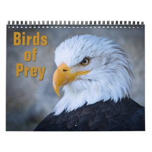 Birds of Prey Calendar