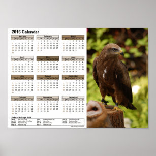 Birds of prey calendar 2016 poster