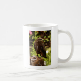 Birds of prey coffee mug