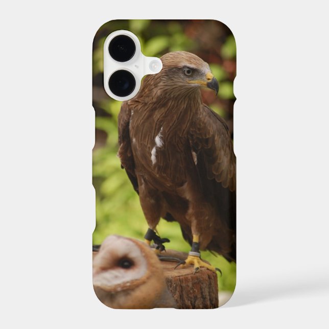 Birds of prey... iphone case (Back)