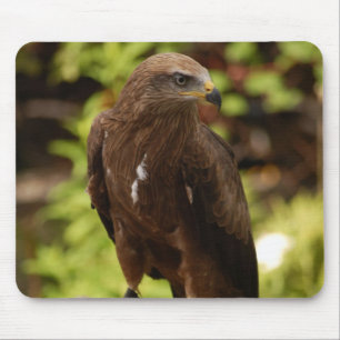 Birds of prey mouse pad
