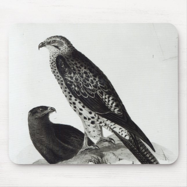 Birds of Prey Mouse Pad (Front)