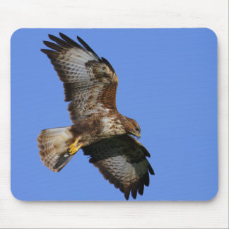 Birds of Prey Mousemats Mouse Pad