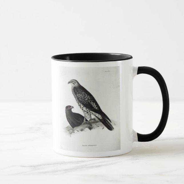 Birds of Prey Mug (Right)