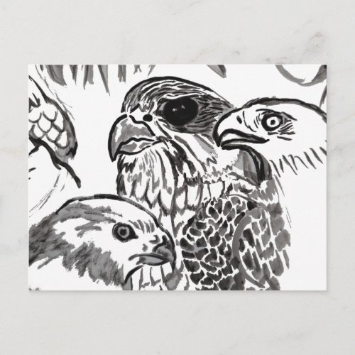 Birds of Prey Postcard