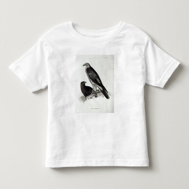 Birds of Prey Toddler T-shirt (Front)