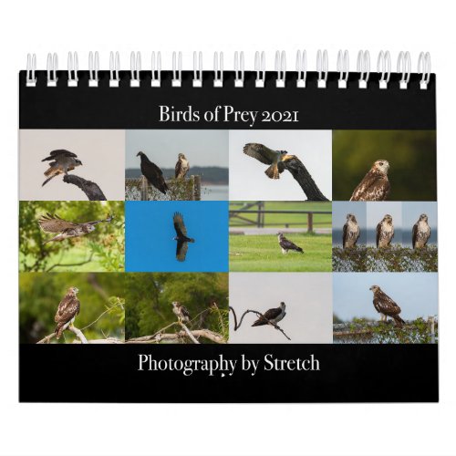 Birds of Prey _ Two Page Small Calendar