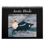 Birds Of The Arctic Photo Calendar Alaska at Zazzle