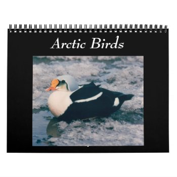 Birds Of The Arctic Photo Calendar Alaska by ScrdBlueCollectibles at Zazzle