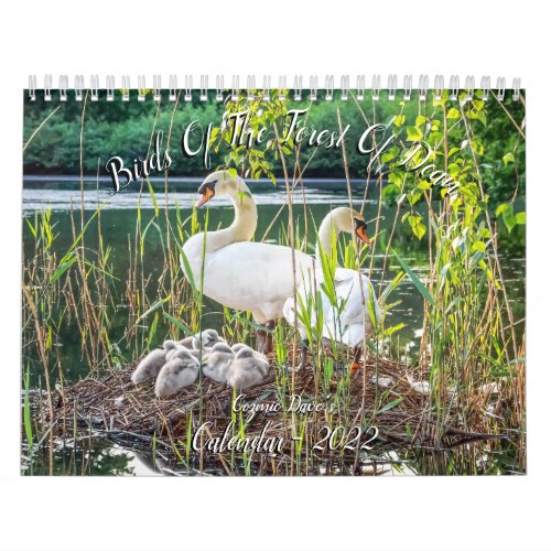 Birds of The Forest Of Dean 2022 Calendar