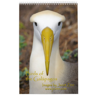 Birds of the Galapagos Calendar