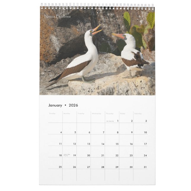 Birds of the Galapagos Calendar (Jan 2026)