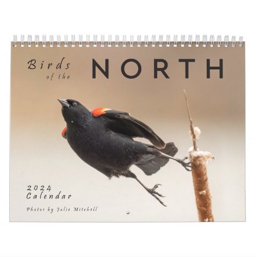 Birds of the North Great Lakes Calendar