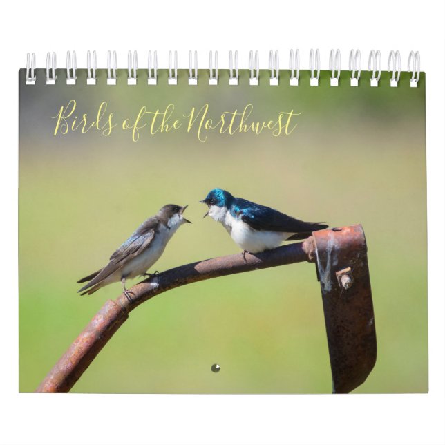 Birds of the Northwest Calendar (Cover)