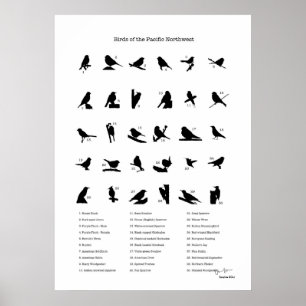 Birds of the Northwest (with names) Poster