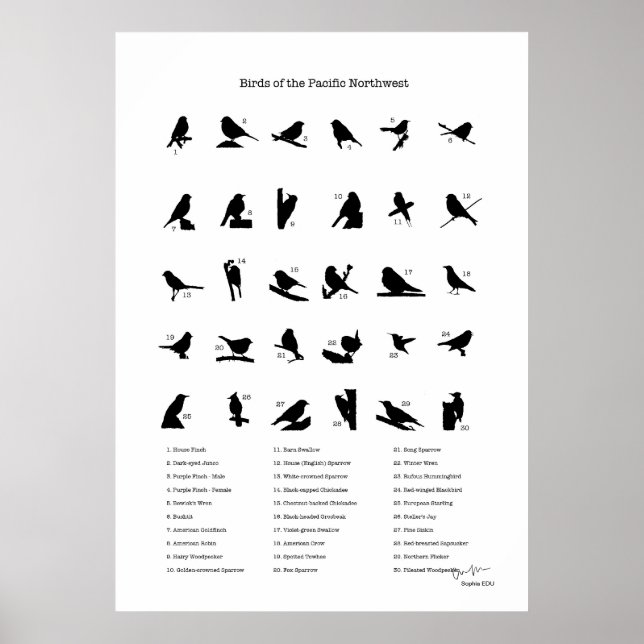 Birds of the Northwest (with names) Poster (Front)