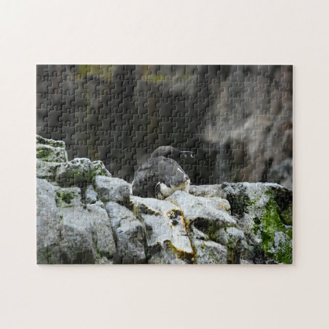 Birds of the Sea. Jigsaw Puzzle (Horizontal)