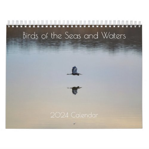 Birds of the Seas and Waters 2024 Calendar