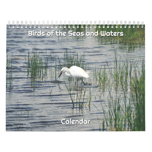Birds of the Seas and Waters Calendar (Cover)