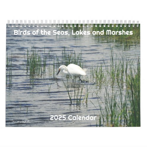 Birds of the Seas Lakes and Marshes 2025 Calendar