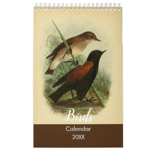 Birds of Tierra Del Fuego Calendar