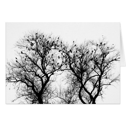 Birds of Winter Cards (Front Horizontal)