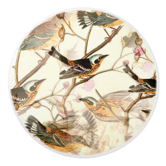 Birds on a Branch Ceramic Knob