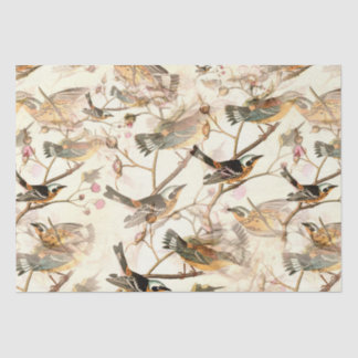 Birds on a Branch Tissue Paper