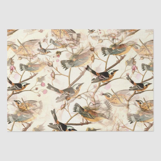 Birds on a Branch Tissue Paper (Front)