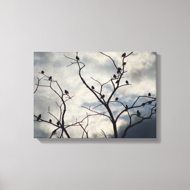 Birds on a gray day canvas print (Front)