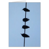 Birds on a Line 1 (Front)