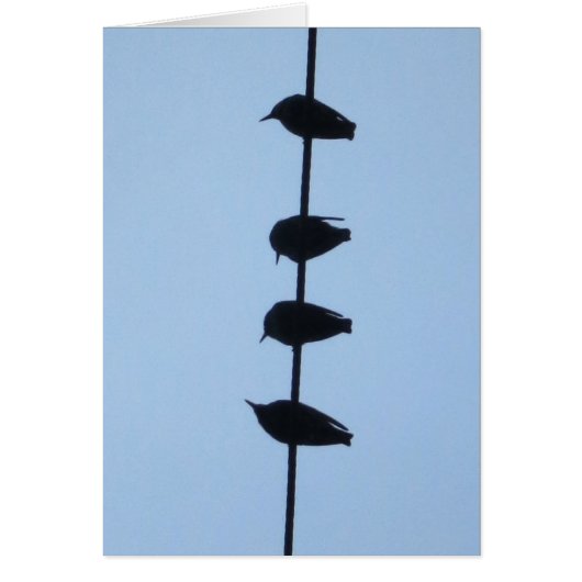 Birds on a Line 1 Cards (Front)