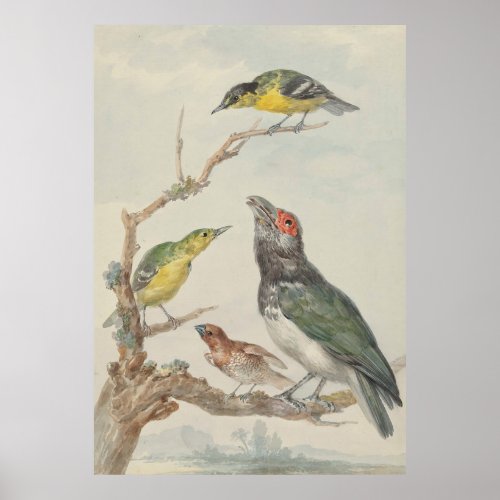 Birds on a perch nature painting poster