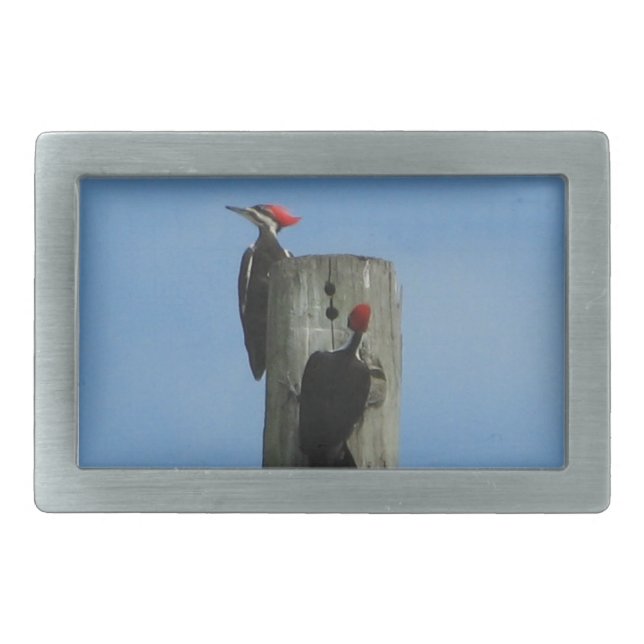Birds on a Pole Photograph Rectangular Belt Buckle (Front)