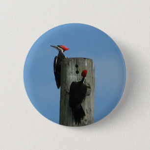 Birds on a Pole Pinback Button