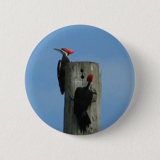 Birds on a Pole Pinback Button (Front)