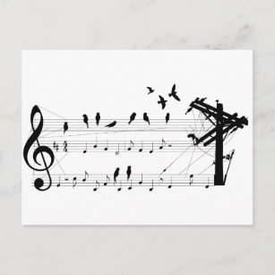 Birds on a Score postcard