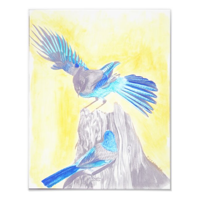 Birds on a stump photo print (Front)