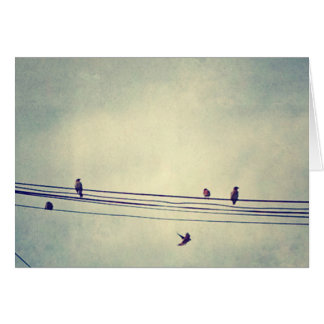 Birds on a wire - blank inside cards
