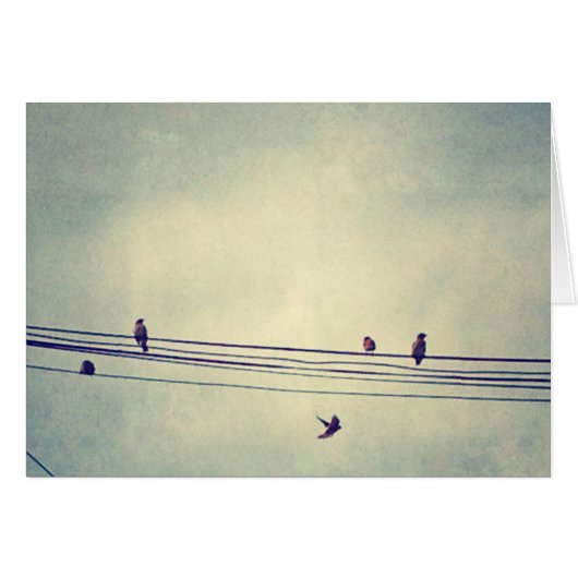 Birds on a wire - blank inside cards (Front Horizontal)