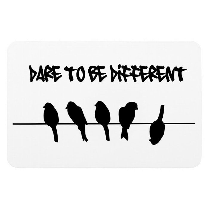 Birds on a wire – dare to be different magnet