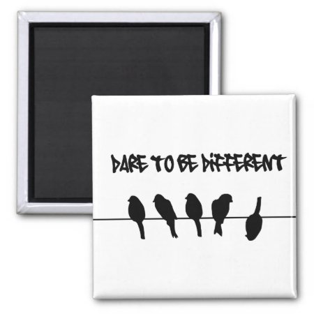 Birds On A Wire – Dare To Be Different Magnet