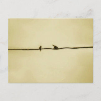 Birds on A Wire in Autumn Postcard