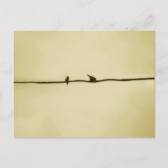 Birds on A Wire in Autumn Postcard (Front)